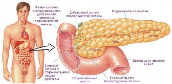 Воспаление поджелудочной железы: симптомы и лечение