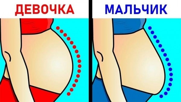 Как определить пол будущего ребенка