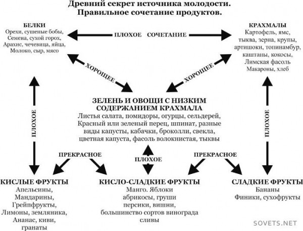 Правильное питание для похудения: меню на каждый день