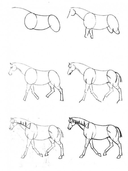 Как нарисовать лошадь поэтапно карандашом: уроки для детей