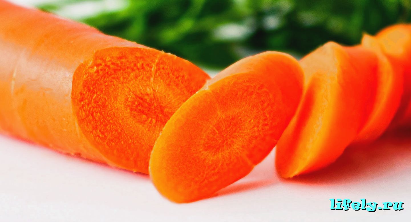 полезные свойства морк