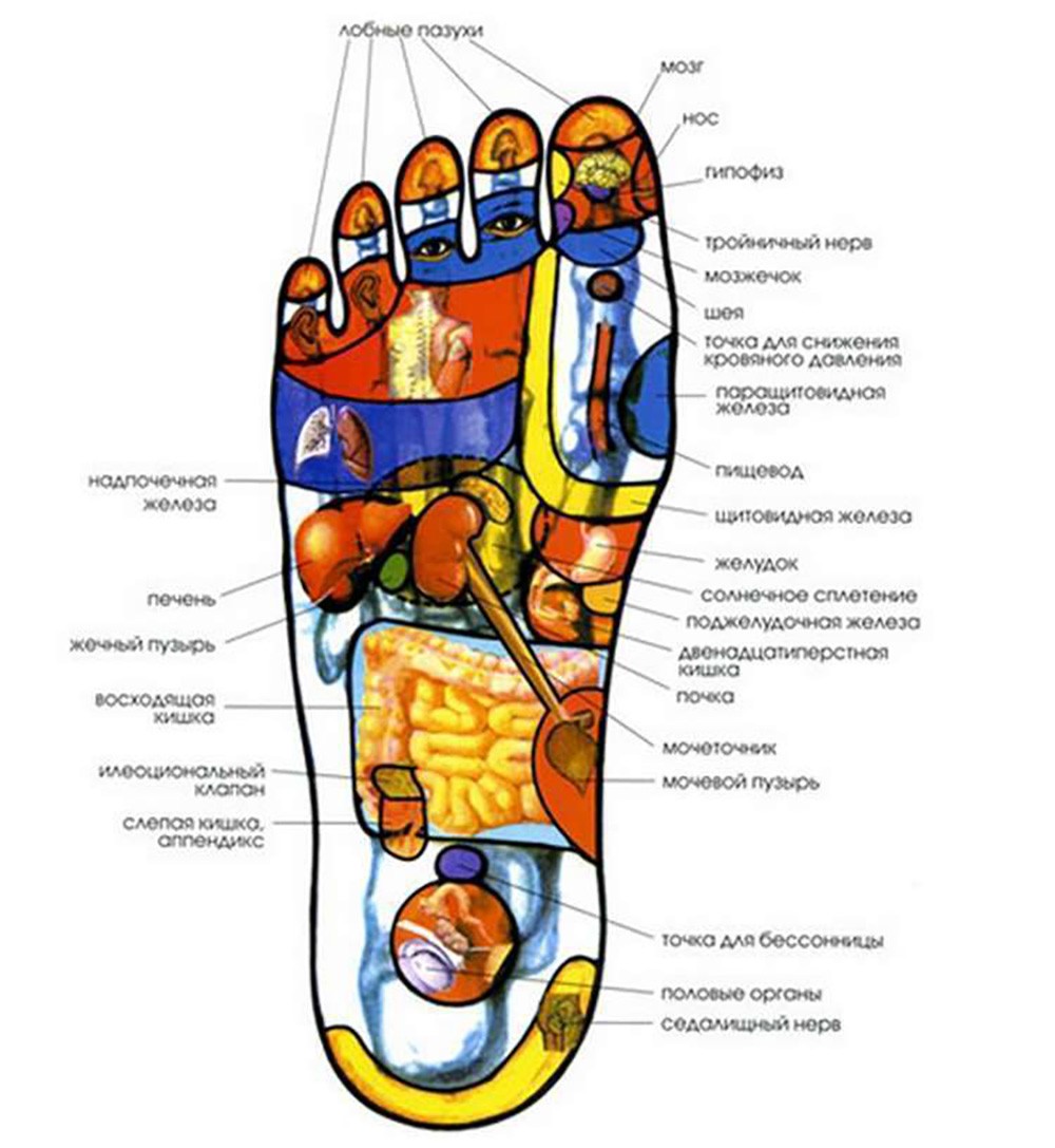 Точки на стопе ноги отвечающие за органы фото с надписями